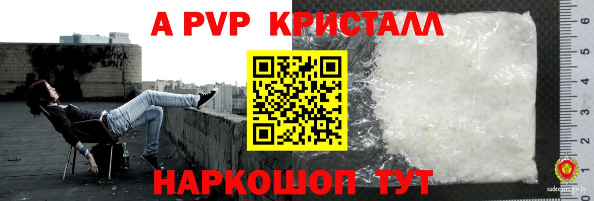 А ПВП крисы CK Асино
