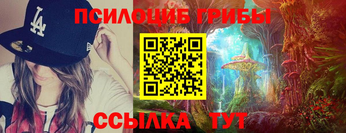 где купить наркоту  Псилоцибиновые грибы MAGIC MUSHROOMS  Вход с VPN  Асино 