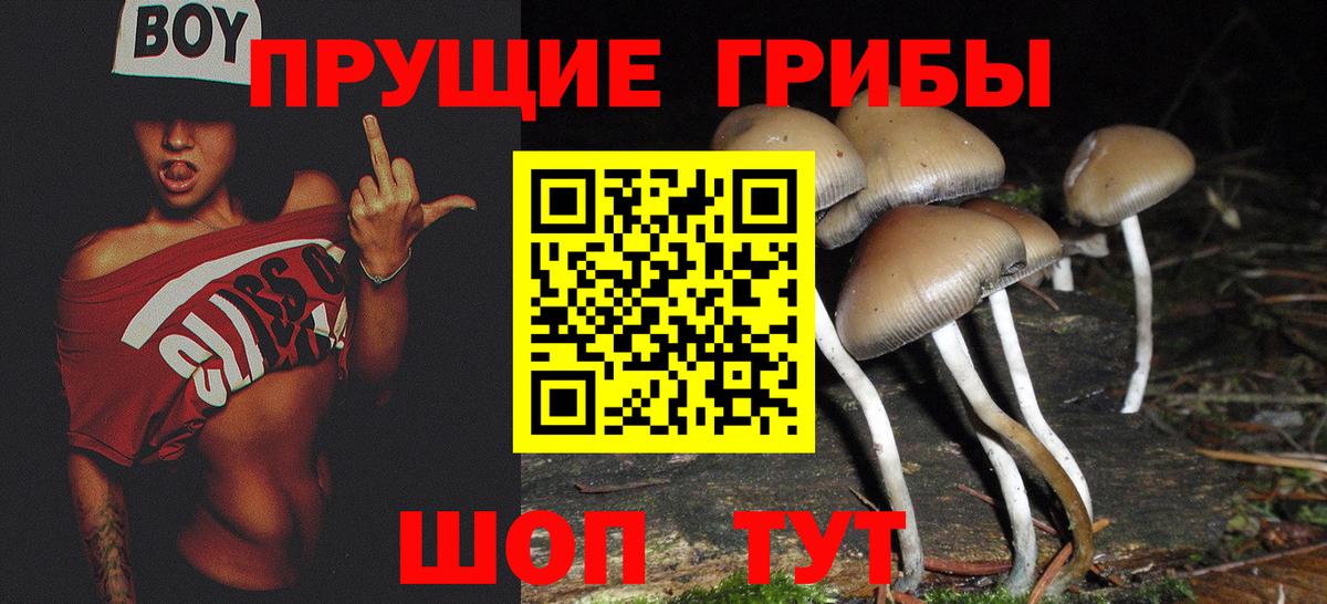 Псилоцибиновые грибы прущие грибы Асино